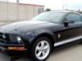 2008 Ford Mustang 75150 Trophy Nissan