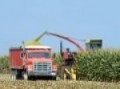 2009 Chopping silage in Nebraska