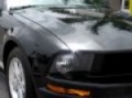 2009 Ford Mustang V6 Deluxe Volvo Suzuki of Fort Myers