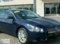 2009 Nissan Maxima in Indianapolis - Greenwood, IN 46219