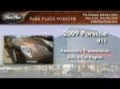 2009 Porsche 911 Dallas TX