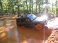 Brittany playing in the Uwharrie Mud!