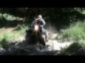 CF MOTO  Polaris  Yamaha off roading
