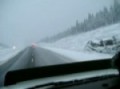 Car in the Ditch (Road 175 near Km 188sb, Qu�bec)