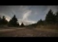 Colin Mcrae: DiRT - Shell Forest Almost Perfect Race