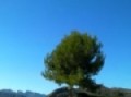EXCURSI�N TARBENA 2.11.2010 004.MP4