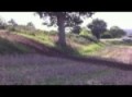 Enduro Quad a? St. Pierre la Vieille 2010.mov