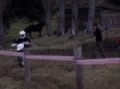 Enduro en la comarca