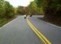 Honda RC51s at Deals Gap Part 2