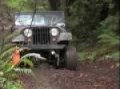 Jacks Jeep Nisene Marks