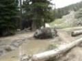 Jeep Vs. Mud Take Two