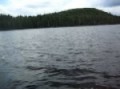 Jon boat adventures in Algonquin Provincial Park