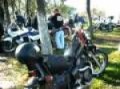LAS MOTOS Y SU GENTE 90