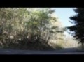 Love & Speed II - Skyline Drive