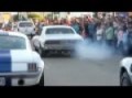Mustang Cougar Trans Am burnout