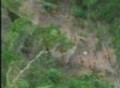 New Tribe Found In Brazil (June 2008)