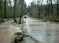 Oconee National Forrest Flood 09 Part 2