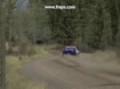 RBR Harwood Forest - Peugeot 306 S16