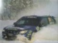 Rally Cars Video