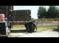Roadrunner Auto, Truck & Trailer Repair & Tire Service - Fulton, MS