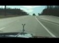 Rolls Royce Silver Dawn on Highway and Country Road