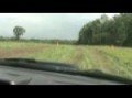 Subaru Impreza Rally Cross (in car view)