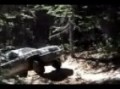 Whipsaw 2008 BC Jeep Club