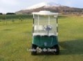 Yamaha Refurbished G22e Golf Car Electric