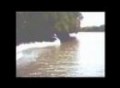 kawasaki 550 stand-up jetski tree rideing